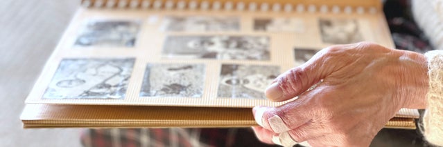 Fトレードの画像